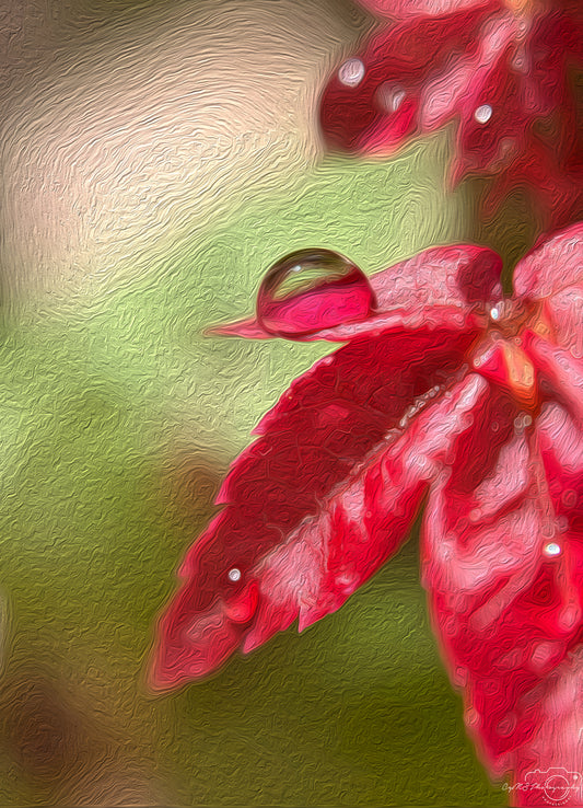 Digital Oil Painting - Superb Droplet V381