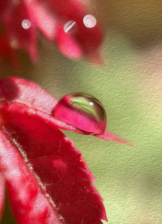 Digital Oil Painting - Superb Droplet V382