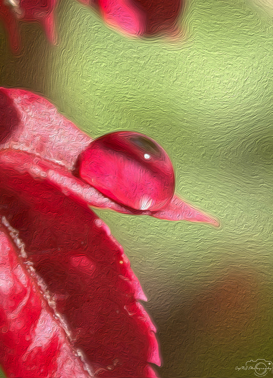 Digital Oil Painting - Superb Droplet V383
