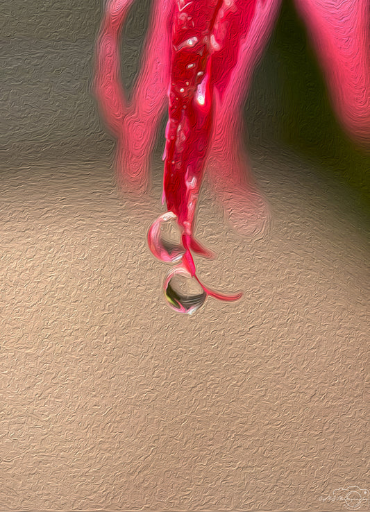 Digital Oil Painting - Superb Droplet V384