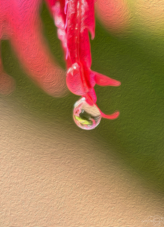 Digital Oil Painting - Superb Droplet V385