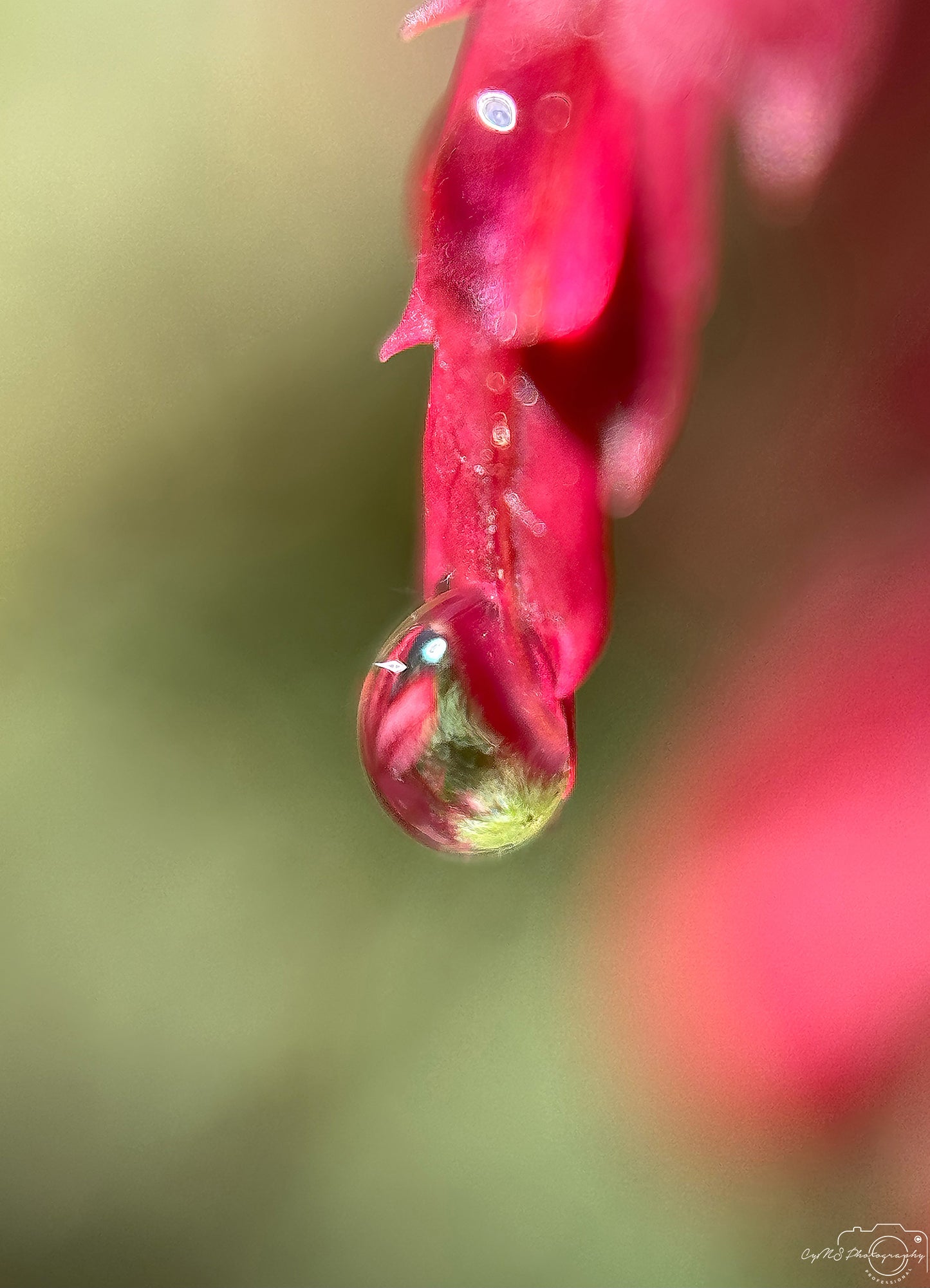 Belle goutte d'eau_V387