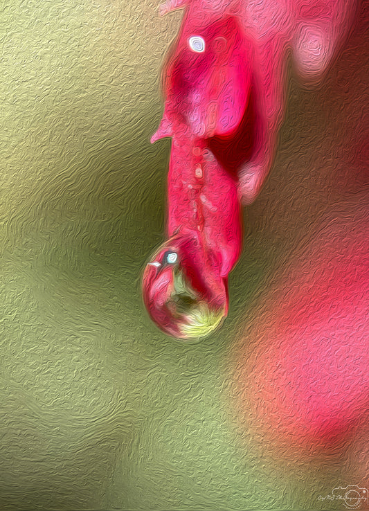 Digital Oil Painting - Superb Droplet V387