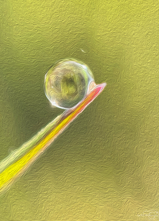 Digital Oil Painting - Superb Droplet V391