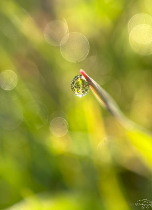 Belle goutte d'eau_V392