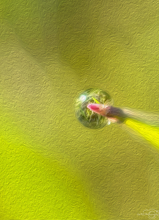Digital Oil Painting - Superb Droplet V393