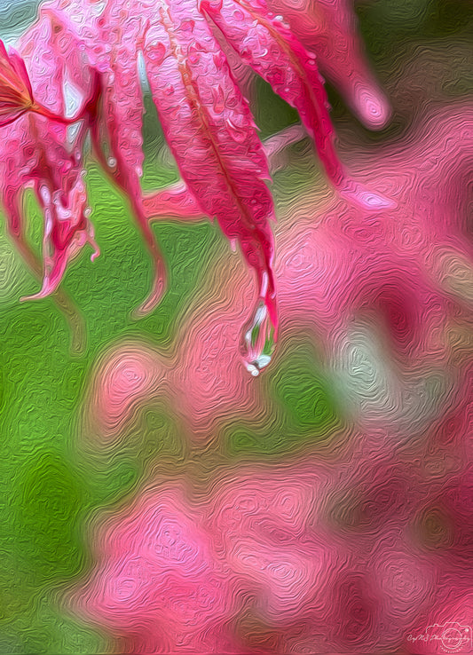 Digital Oil Painting - Superb Droplet V400