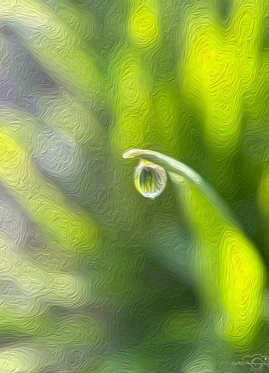 Digital Oil Painting - Superb Droplet V405