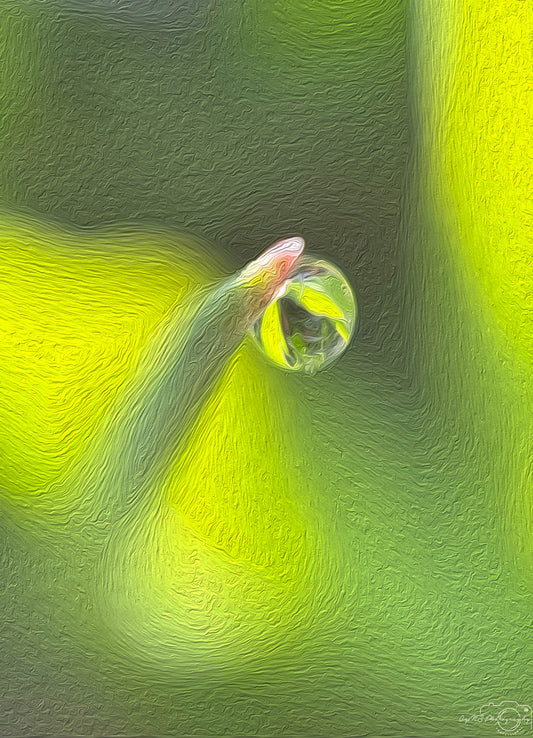 Digital Oil Painting - Superb Droplet V406