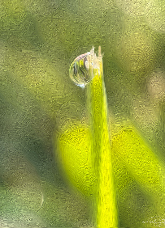 Digital Oil Painting - Superb Droplet V407