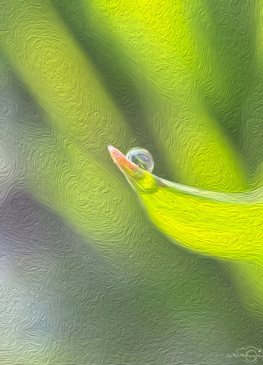 Digital Oil Painting - Superb Droplet V408