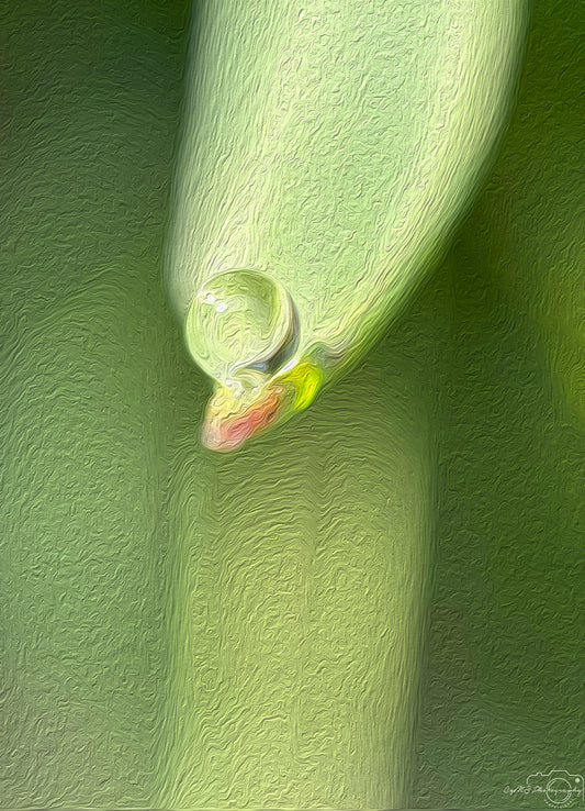 Digital Oil Painting - Superb Droplet V409
