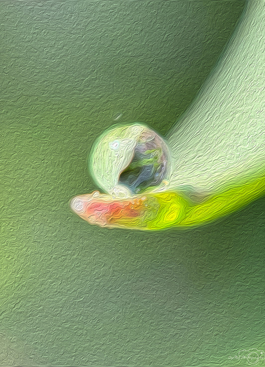 Digital Oil Painting - Superb Droplet V410