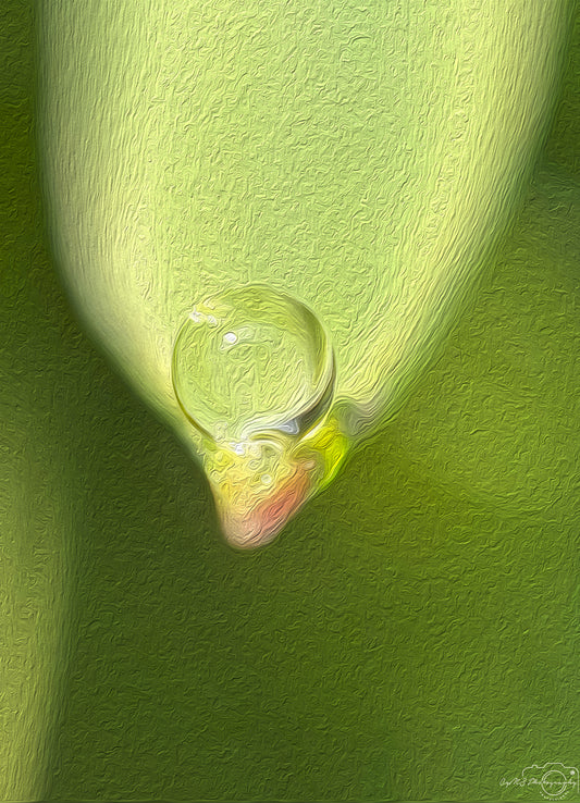 Digital Oil Painting - Superb Droplet V411