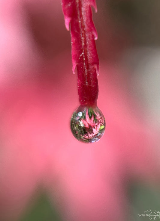 Schöner Wassertropfen_V414
