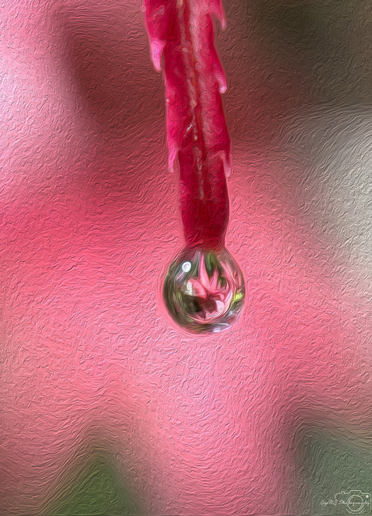 Digital Oil Painting - Superb Droplet V414