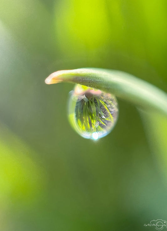 Schöner Wassertropfen_V416