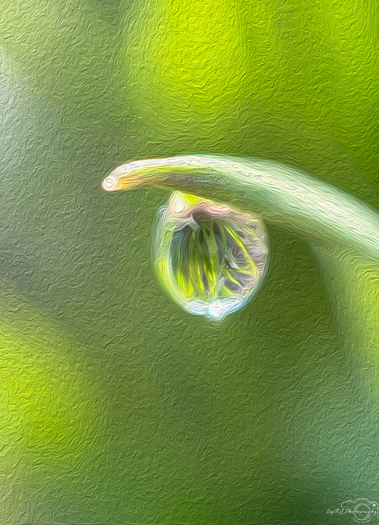 Digital Oil Painting - Superb Droplet V416