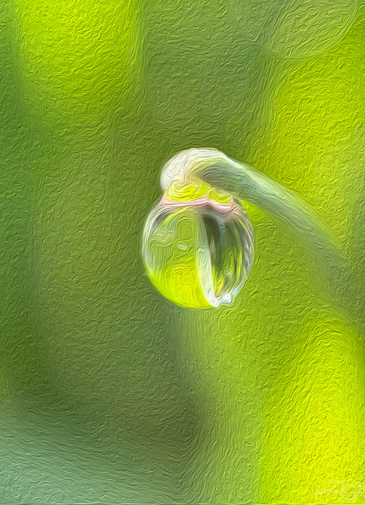 Digital Oil Painting - Superb Droplet V417