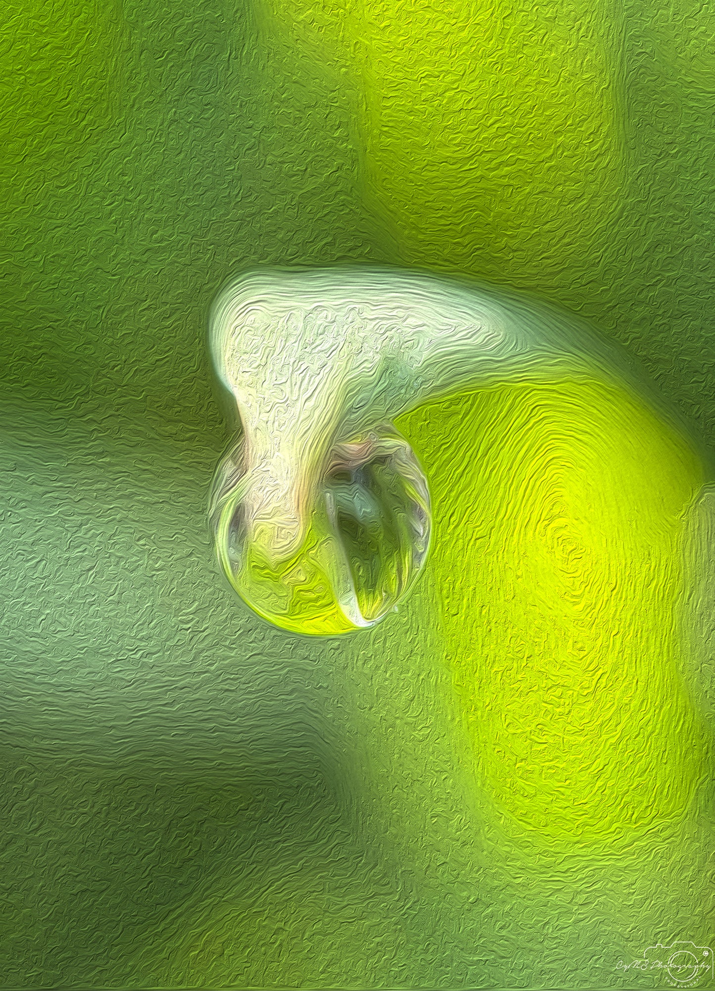 Digital Oil Painting - Superb Droplet V418