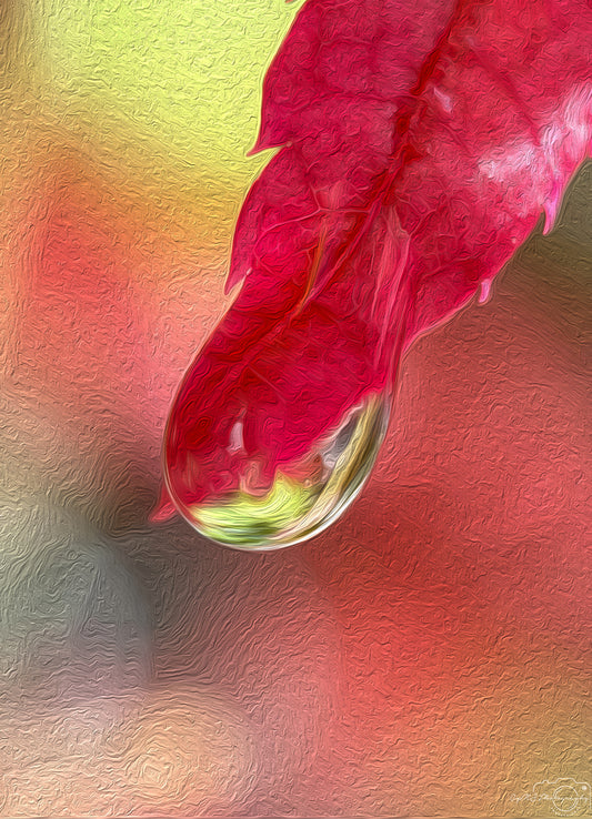 Digital Oil Painting - Superb Droplet V422