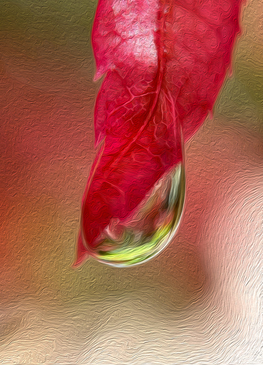 Digital Oil Painting - Superb Droplet V423