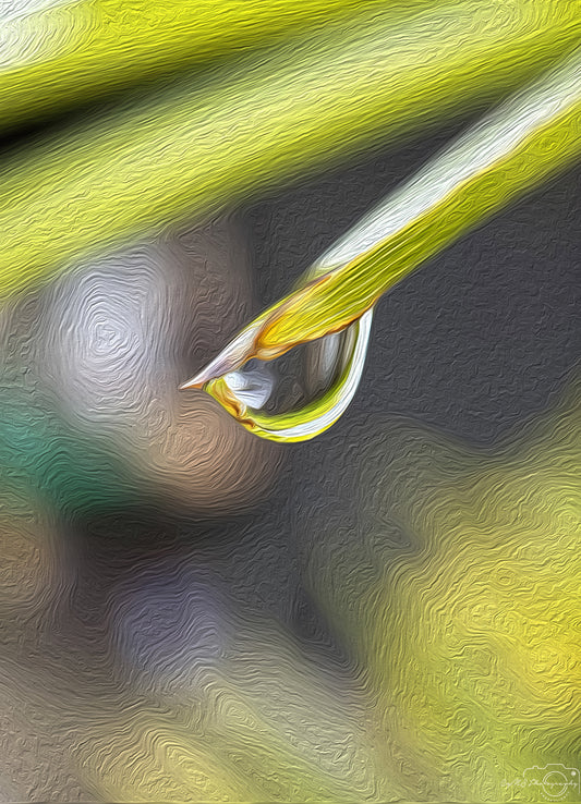 Digital Oil Painting - Superb Droplet V424