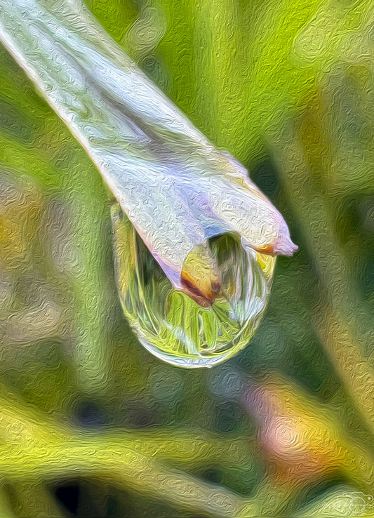Digital Oil Painting - Superb Droplet V426