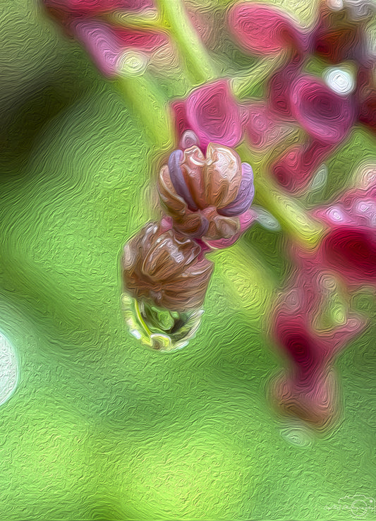 Digital Oil Painting - Superb Droplet V428