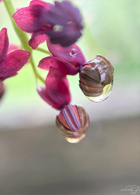 Schöner Wassertropfen_V429