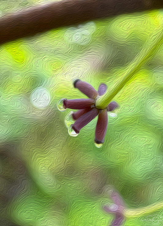 Digital Oil Painting - Superb Droplet V432