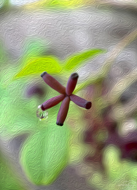 Digital Oil Painting - Superb Droplet V433