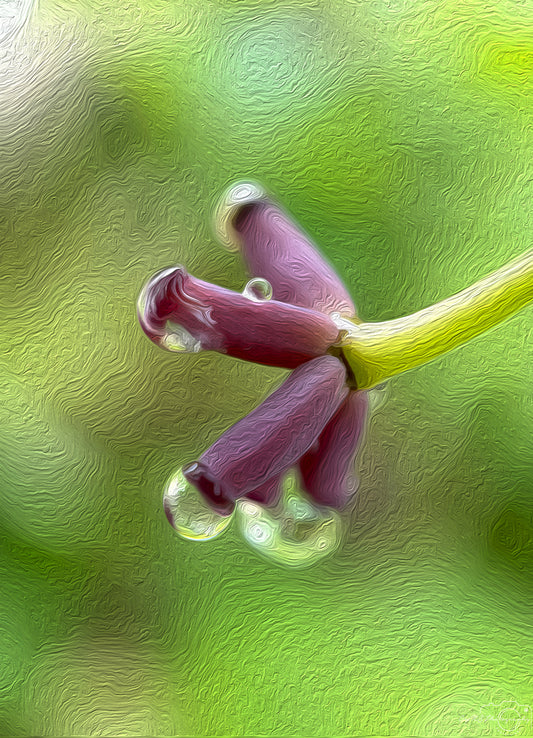 Digital Oil Painting - Superb Droplet V434