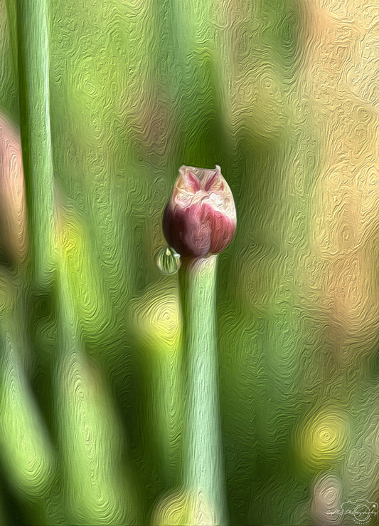 Digital Oil Painting - Superb Droplet V436
