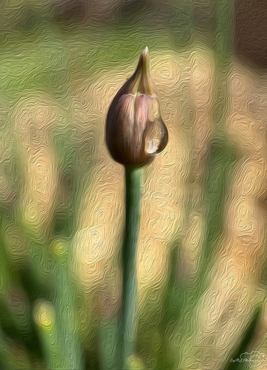 Digital Oil Painting - Superb Droplet V437
