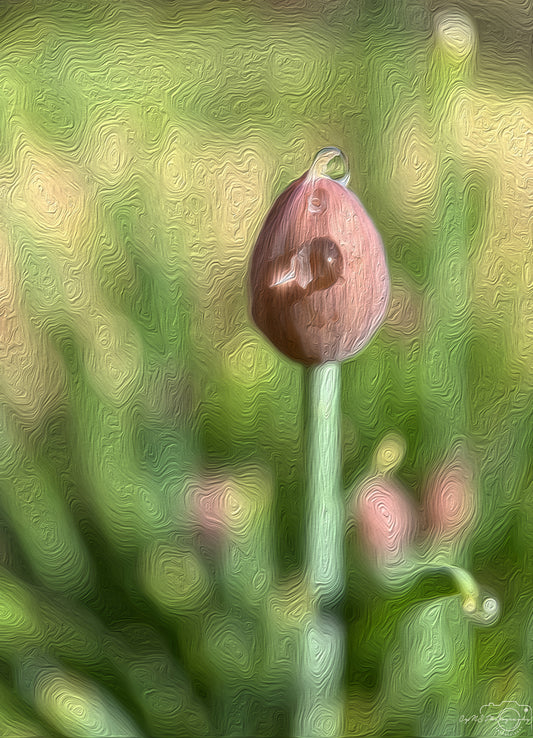Digital Oil Painting - Superb Droplet V438
