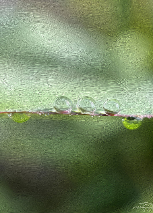 Digital Oil Painting - Superb Droplet V440