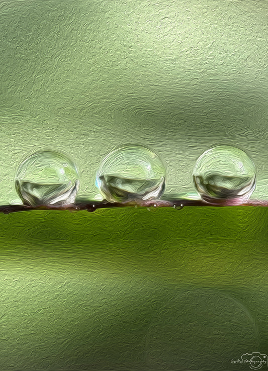 Digital Oil Painting - Superb Droplet V441