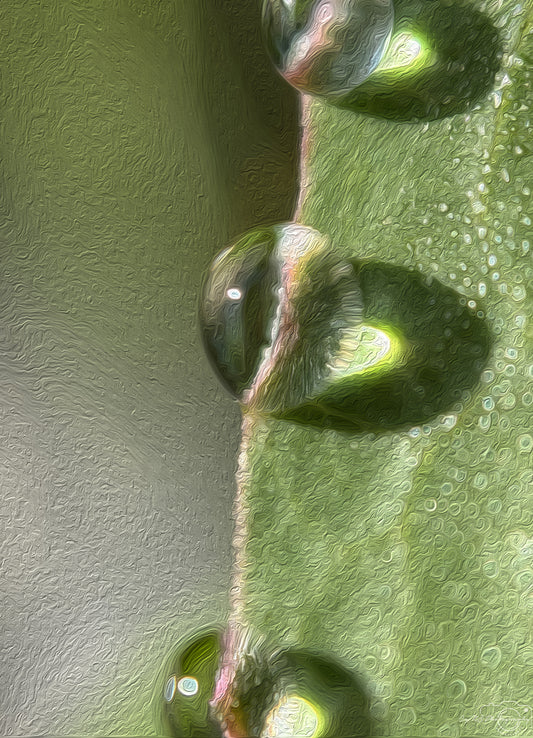 Digital Oil Painting - Superb Droplet V443