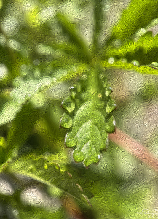 Digital Oil Painting - Superb Droplet V444