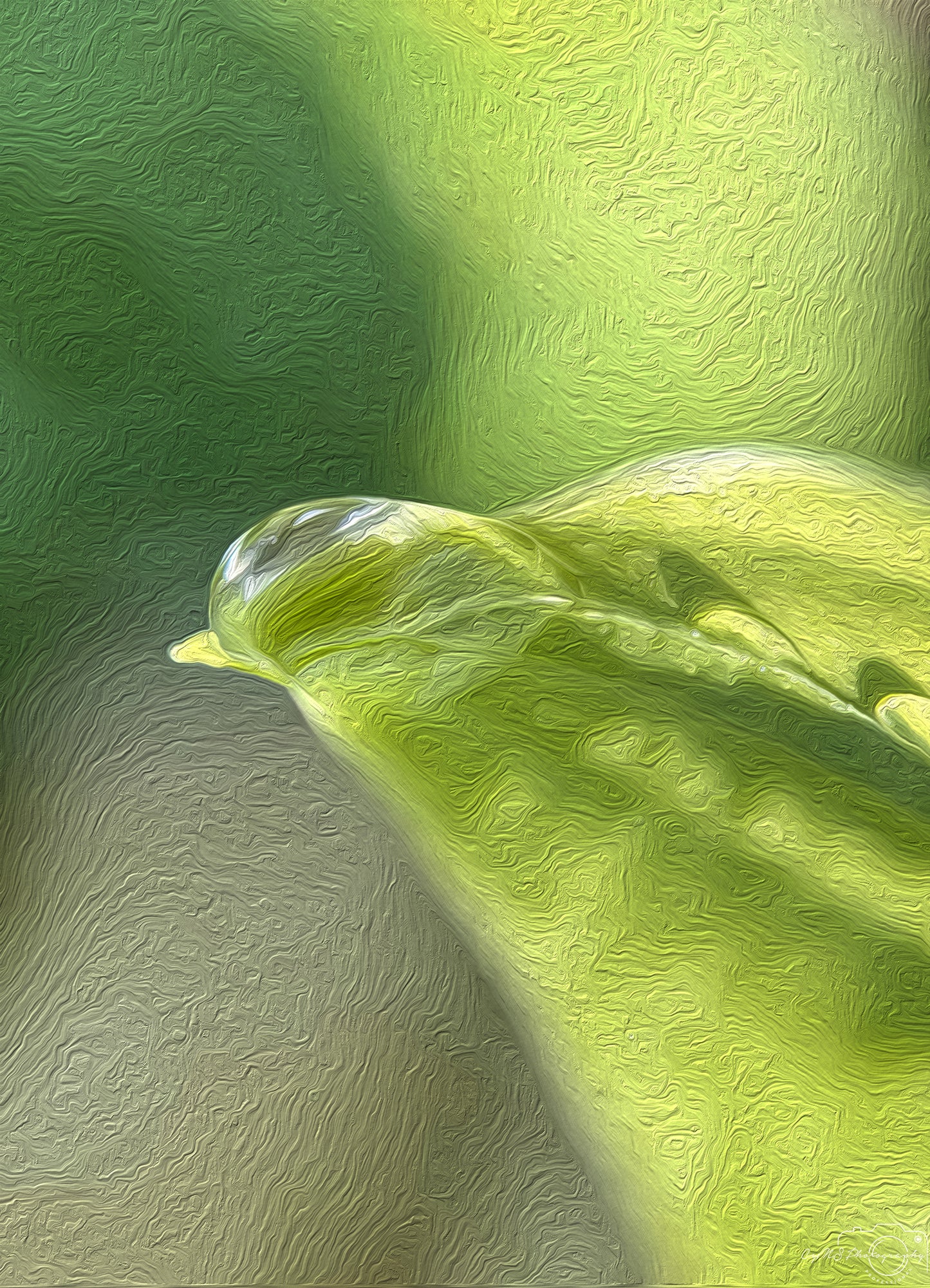 Beautiful water drop_V446_oil painting