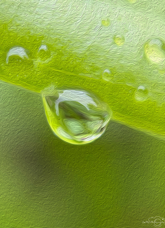 Digital Oil Painting - Superb Droplet V447