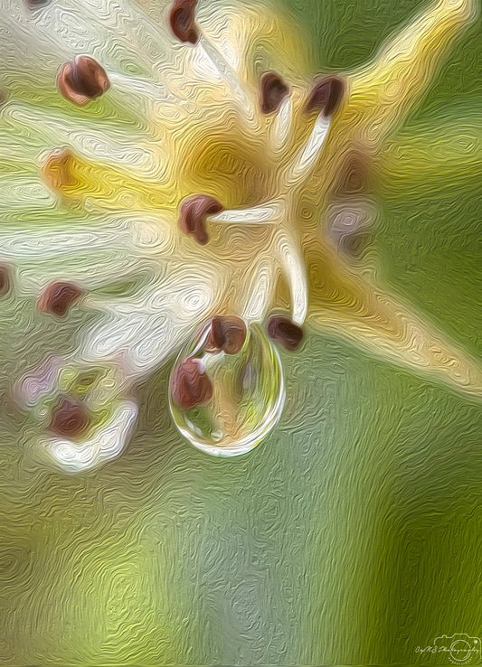 Digital Oil Painting - Superb Droplet V455