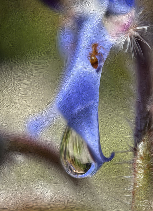 Digital Oil Painting - Superb Droplet V457