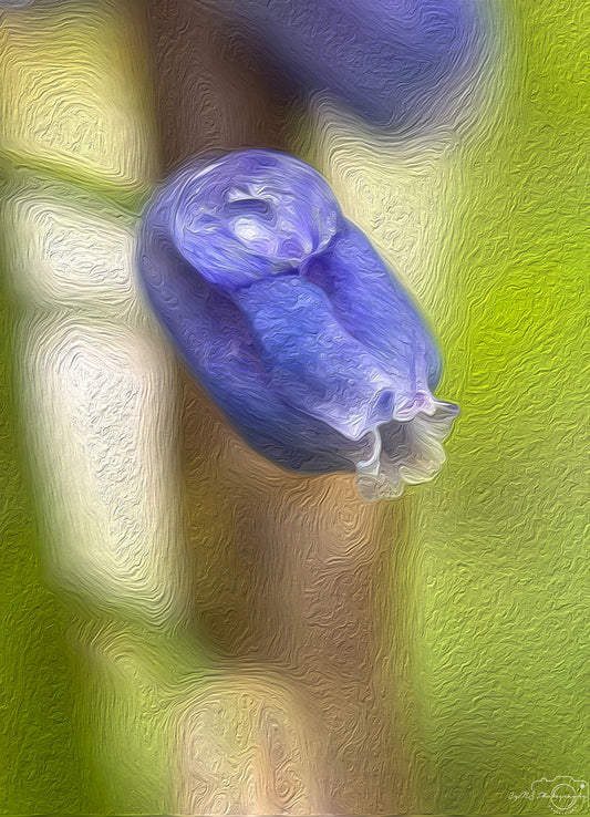 Digital Oil Painting - Superb Droplet V459