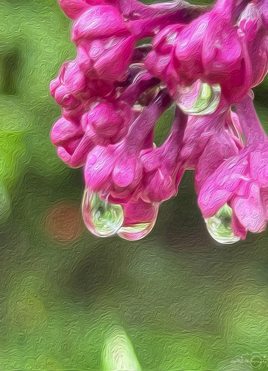 Digital Oil Painting - Superb Droplet V461