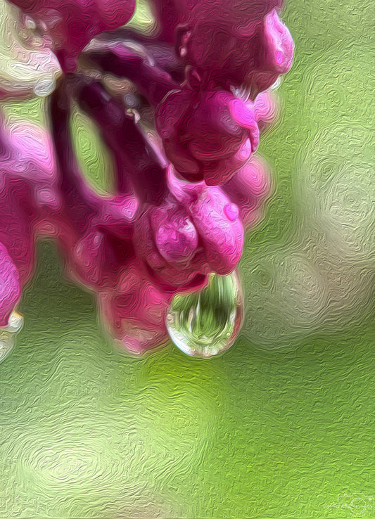Digital Oil Painting - Superb Droplet V462