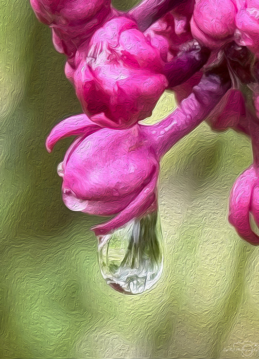 Digital Oil Painting - Superb Droplet V463