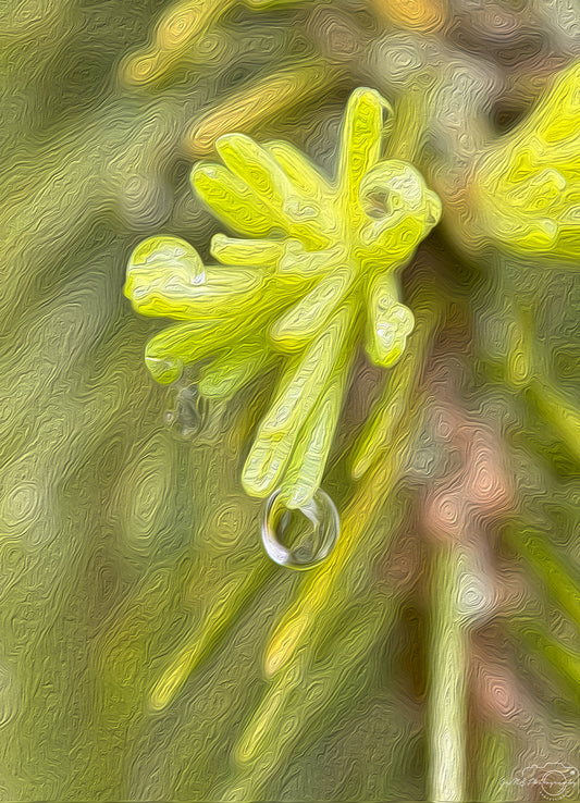 Digital Oil Painting - Superb Droplet V464
