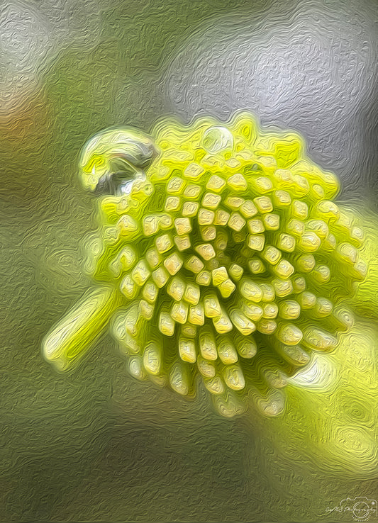 Digital Oil Painting - Superb Droplet V466